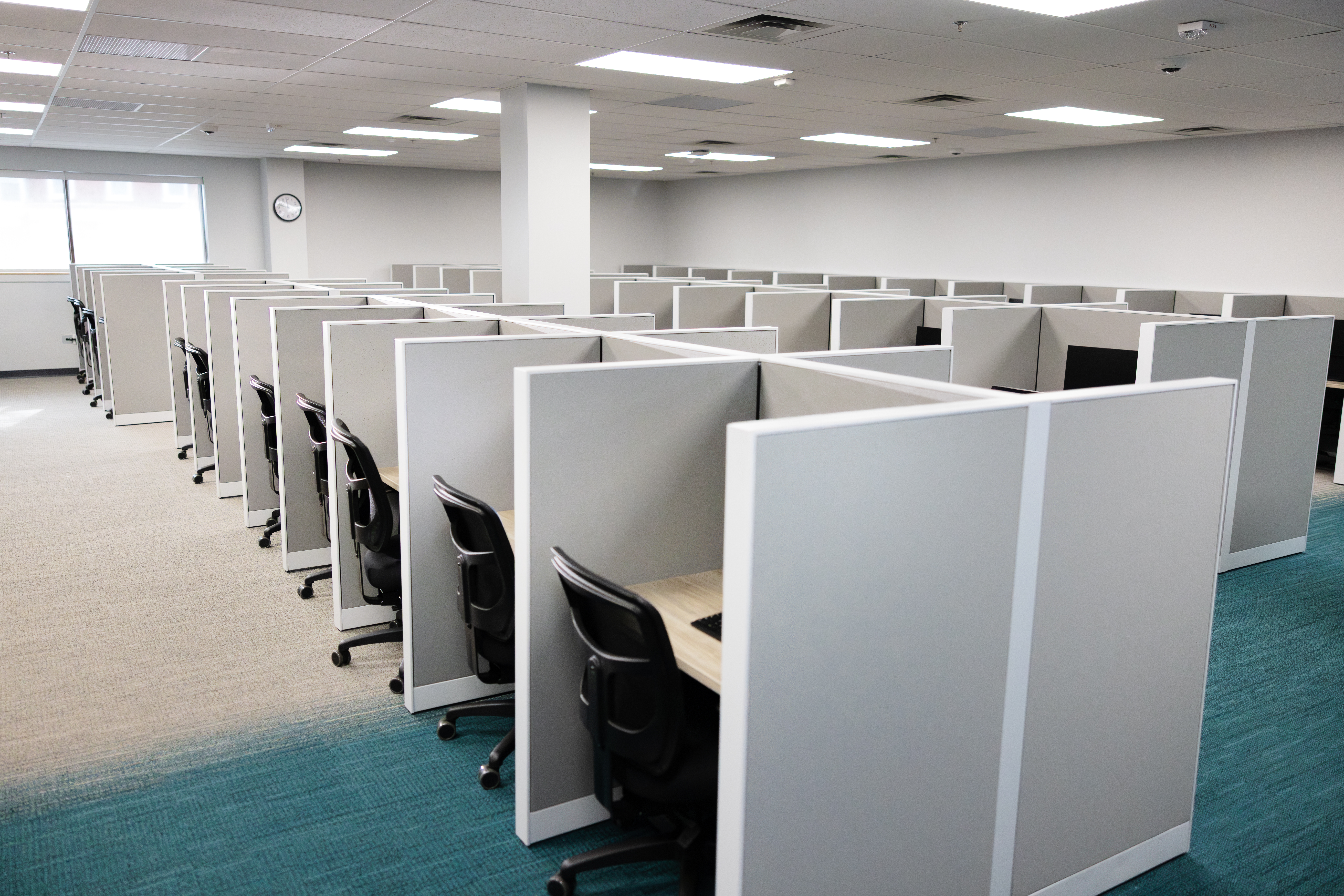 rows of cubicles with desk chairs and computers.
